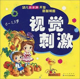 视觉刺激-幼儿左右脑开发启智视图 pdf epub mobi 电子书 下载