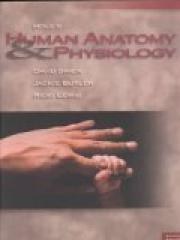 Holes Human Anatomy and Physiology pdf epub mobi 电子书 下载