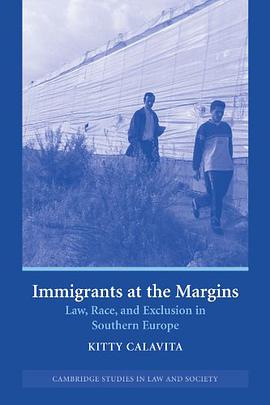 Immigrants at the Margins pdf epub mobi 电子书 下载