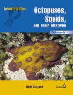 Cephalopod