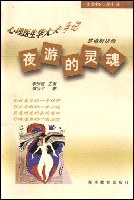 夜游的灵魂/非虚构心理小说 pdf epub mobi 电子书 下载