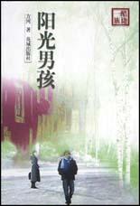 阳光男孩 pdf epub mobi 电子书 下载