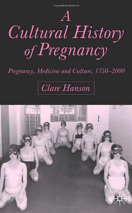 A Cultural History of Pregnancy pdf epub mobi 电子书 下载