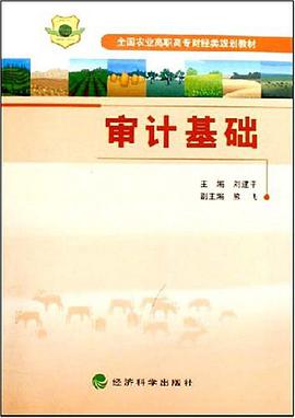 審計基礎 pdf epub mobi 電子書 下載
