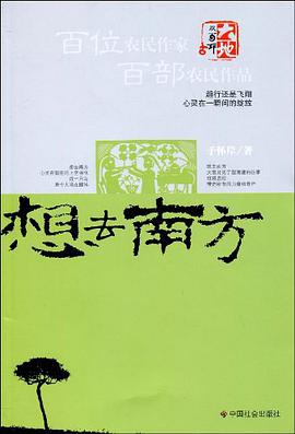 想去南方 pdf epub mobi 电子书 下载