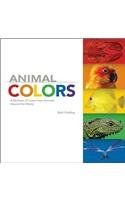 Animal Colors pdf epub mobi 電子書 下載