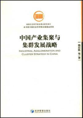 中国产业集聚与集群发展战略 pdf epub mobi 电子书 下载