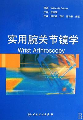 实用腕关节镜学 pdf epub mobi 下载