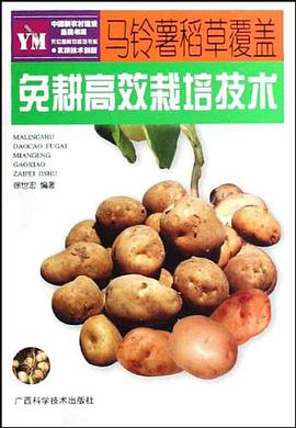 马铃薯稻草覆盖免耕高效栽培技术