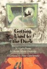 Getting Used to the Dark pdf epub mobi 电子书 下载