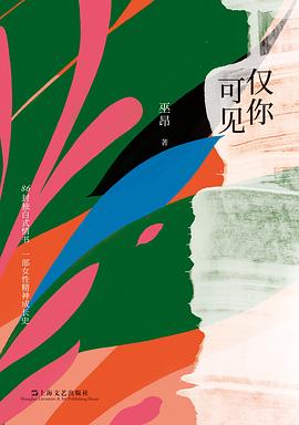 仅你可见 pdf epub mobi 电子书 下载