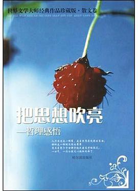 把思想吹亮 pdf epub mobi 电子书 下载