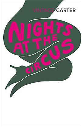 Nights at the Circus pdf epub mobi 電子書 下載