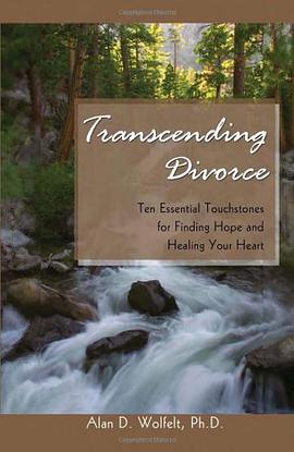 Transcending Divorce pdf epub mobi 电子书 下载