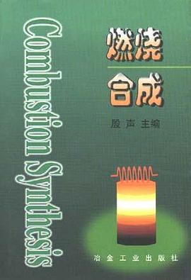 燃烧合成 pdf epub mobi 电子书 下载