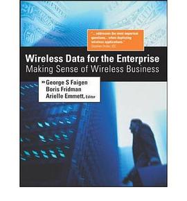 Wireless Data for the Enterprise pdf epub mobi 电子书 下载
