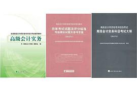 高级会计师资格考评结合试点 pdf epub mobi 电子书 下载