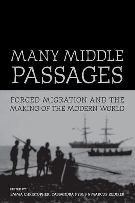 Many Middle Passages pdf epub mobi 電子書 下載