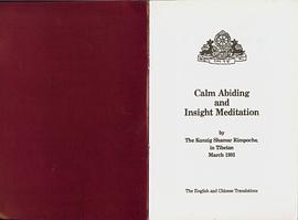 Zhi jing yu wu shang si wei xiu / Calm Abiding and Insight Meditation [Bilingual - Chinese & English pdf epub mobi 电子书 下载