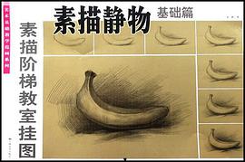 素描静物基础篇-素描阶梯教室挂图 pdf epub mobi 电子书 下载