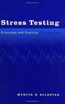 Stress Testing pdf epub mobi 电子书 下载