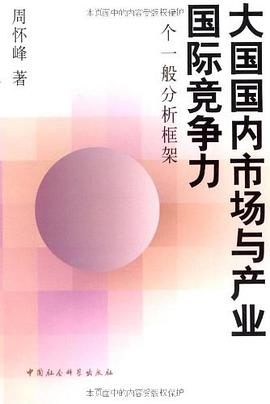 大国国内市场与产业国际竞争力 pdf epub mobi 电子书 下载