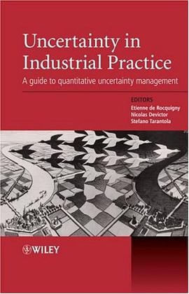 Uncertainty in Industrial Practice pdf epub mobi 电子书 下载
