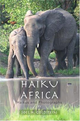 Haiku Africa pdf epub mobi 电子书 下载