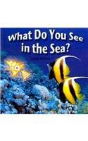 What Do You See in the Sea? pdf epub mobi 电子书 下载