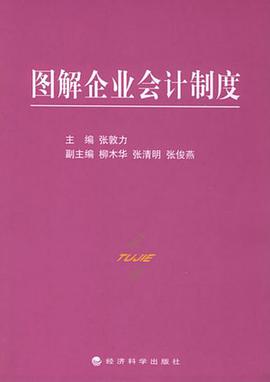 图解企业会计制度 pdf epub mobi 电子书 下载