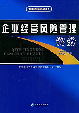 企业经营风险管理实务 pdf epub mobi 电子书 下载