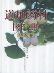 道地药材图典·华东卷 pdf epub mobi 电子书 下载