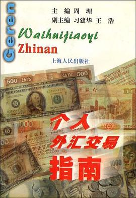 个人外汇交易指南 pdf epub mobi 电子书 下载