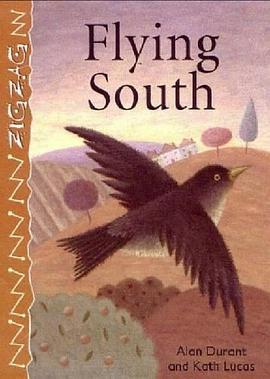 Flying South pdf epub mobi 电子书 下载