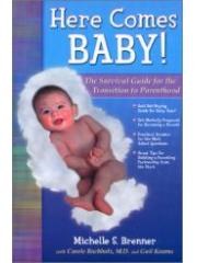 Here Comes Baby! The Survival Guide for the Transition to Parenthood pdf epub mobi 下载