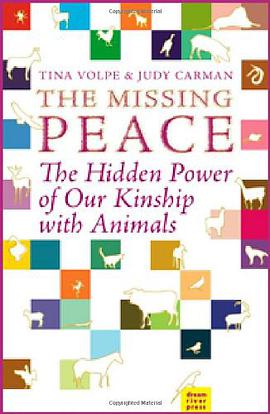 The Missing Peace pdf epub mobi 电子书 下载