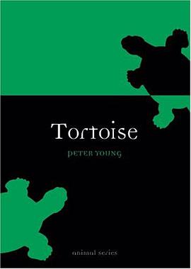 Tortoise pdf epub mobi 电子书 下载