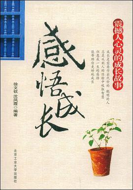 感悟成长 pdf epub mobi 电子书 下载