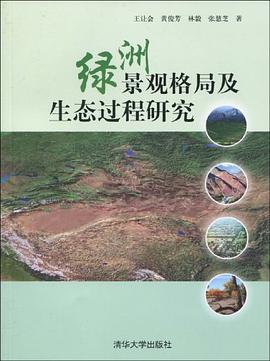 绿洲景观格局及生态过程研究 pdf epub mobi 电子书 下载