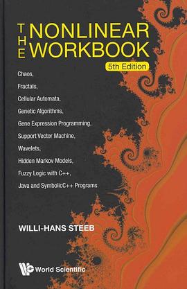 The Nonlinear Workbook pdf epub mobi 電子書 下載