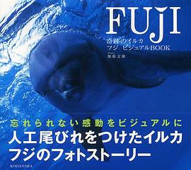奇跡のイルカ フジ ビジュアルＢｏｏｋ pdf epub mobi 电子书 下载