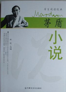 茅盾小说