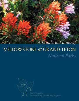 A Guide to Plants of Yellowstone and Grand Teton National Parks pdf epub mobi 電子書 下載