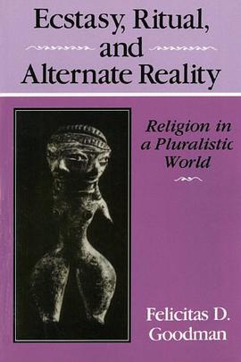 Ecstasy, Ritual and Alternate Reality pdf epub mobi 电子书 下载