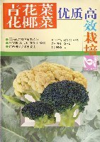 青花菜花椰菜优质主效栽培