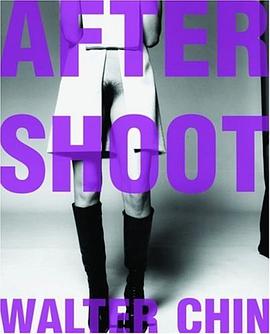 Walter Chin pdf epub mobi 电子书 下载