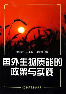 国外生物质能的政策与实践 pdf epub mobi 电子书 下载