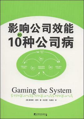 影响公司效能的10种公司病 pdf epub mobi 电子书 下载