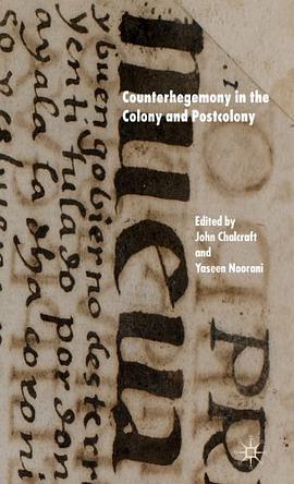 Counterhegemony in the Colony and Postcolony pdf epub mobi 电子书 下载