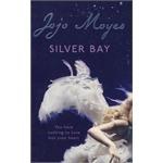Silver Bay pdf epub mobi 下载